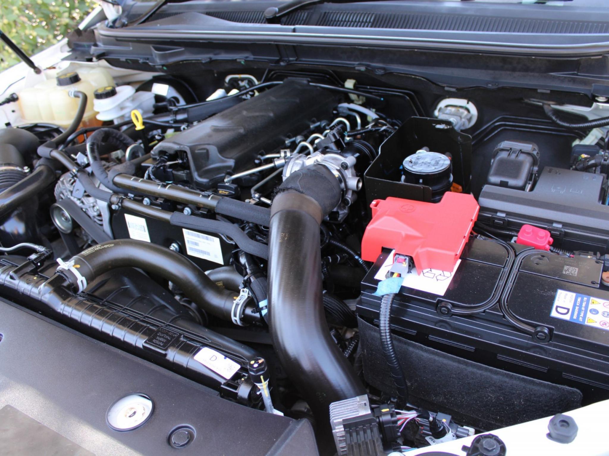 FORD RANGER XLT 3.2 (4X4) PX MKIII MY21.75